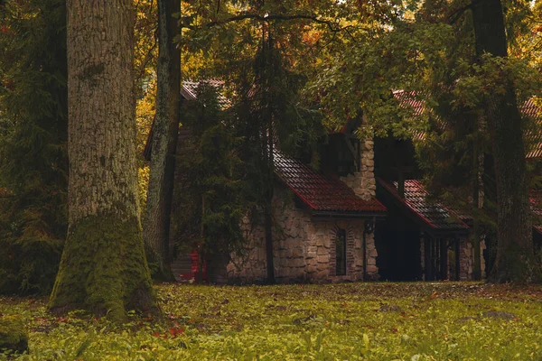 Podzim Les Budova Náladový Říjen Mezník Scénický Pohled Venkovní Prostředí — Stock fotografie