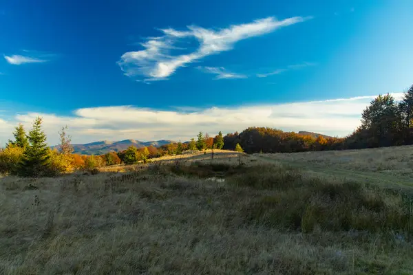 Φθινόπωρο Ορεινό Δάσος Τοπίο Γραφική Θέα Του Οκτωβρίου Σαφή Ώρα — Φωτογραφία Αρχείου
