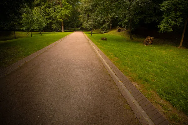 Park Asphalt Straße Weg Für Spaziergänge Freien Frische Luft Umwelt — Stockfoto