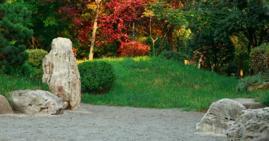 Panorama çiçekli doğal bahçe zemin ve çimen tepesi bahar mevsimi kırmızı yapraklarla kaplı güzel bir çevre alanı.