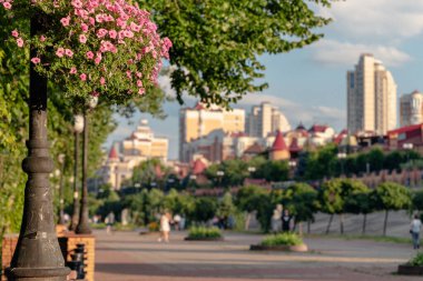 Yaya geçidi, çiçek saksısı, fener arka planında bulanık şehir manzarası gökdelenleri, bahar mevsiminde Nisan ayı rengarenk gündüz vakti