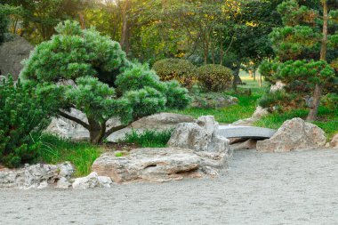 Doğa parkı Evergreen ağaçları bahar manzarası taş bahçeler, kayalar ve çakıl zemini güneşli çevre alanı