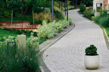 Tam anlamıyla dekoratif şehir parkı asfalt yol doğal çiçek yatağı ve çimlerin arasından bahar mevsimi çevresi