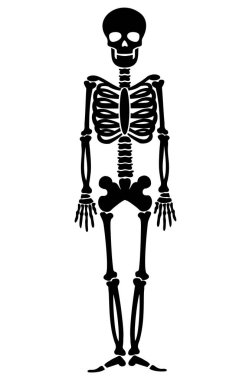 Vektör simgesi, düz iskelet, şablon