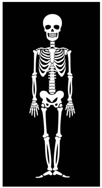 vektör simgesi düz, iskelet, şablon