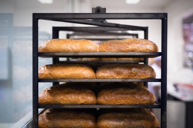 Fırındaki rafta soğuyan taze ekmek somunları.