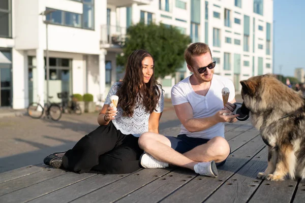 Couple on boardwalk with dog eating ice cream