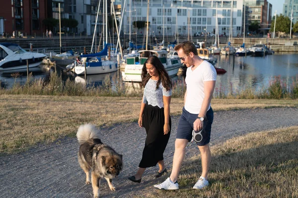 Couple walking their dog in beach area