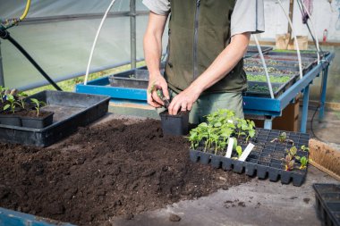 Fabrikayla çalışan adam bir serada işe başlıyor.