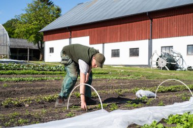 Bahçede çalışan çiftçi.