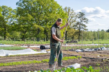 Bahçede çalışan çiftçi.