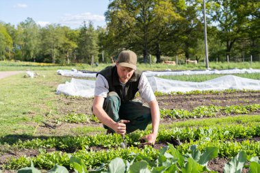 Çiftçi bahçede genç bitkiler naklediyor.