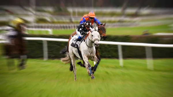 Horse Racing Fontainebleau Racecourse — Stock Photo, Image