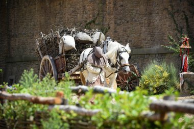 Puy du Fou 'da medeviyal şov