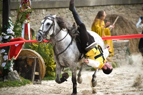 Medieval Show Puy Fou — Stock Photo, Image