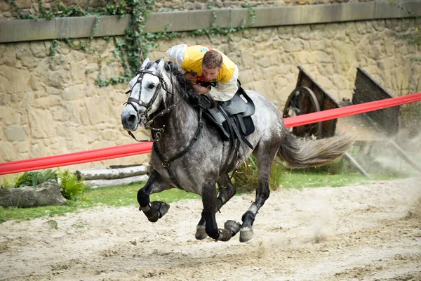 Puy Fou Ortaçağ Gösterisi — Stok fotoğraf