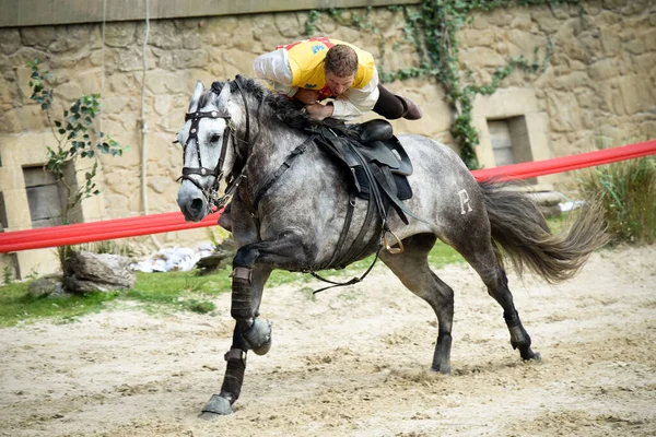 Mittelalterliche Show Auf Puy Fou — Stockfoto