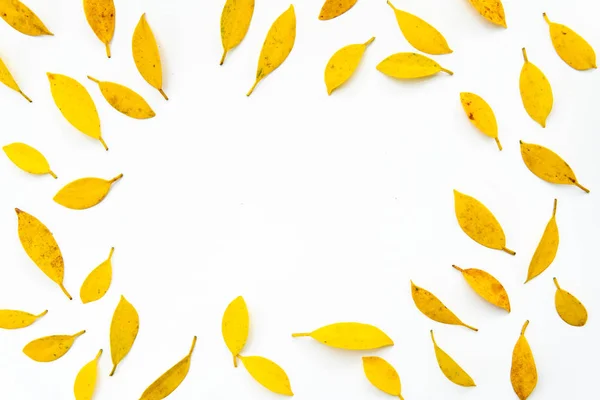 Žluté Listy Pozadí Creative Podzimní Vzor Žluté Oranžové Listy Bílém — Stock fotografie