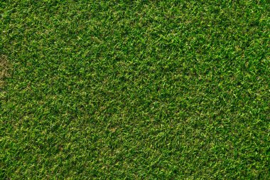 Suni Çimen Çim Çim Dokusu.Yeşil yüzey Arkaplanı.
