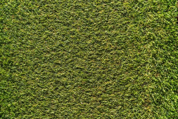 Artificial Grass turf texture.Green surface background. — Stock Photo, Image