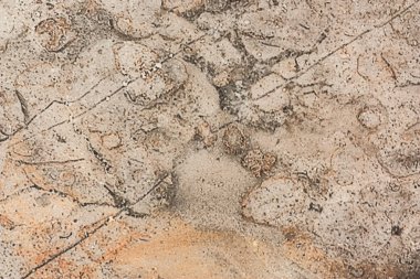 Taş yakın odağını, taneli şekiller tam yukarı yüzeyine. Bilinmeyen bir gezegenin yüzeyi gibi benzersiz bir arka plan.