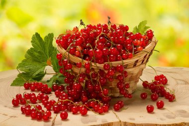 Hasır sepetinde kırmızı frenk üzümü