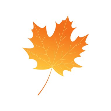 Parlak akçaağaç sonbahar yaprağı. 