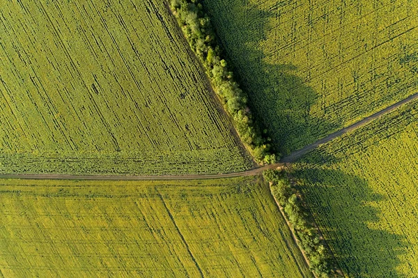 Malebné Polní Cestě Přes Oblasti Hospodářství Letecký Pohled — Stock fotografie