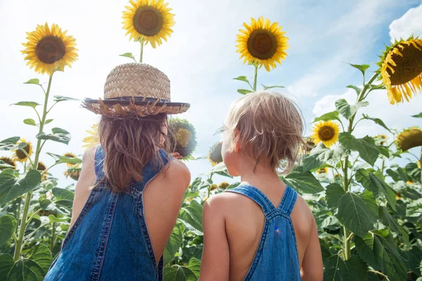 Két Gyermek Után Kutatnak Virág Napraforgó Szabadban — Stock Fotó