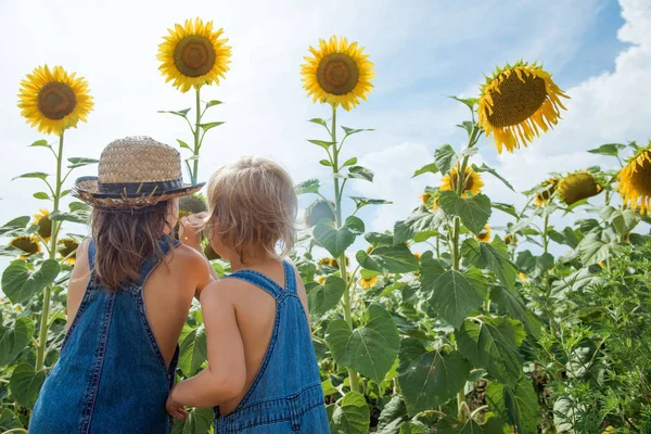 Duas Crianças Estão Explorando Girassol Flor Livre — Fotografia de Stock