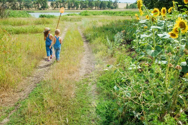 Duas Crianças Com Uma Rede Borboletas Caminham Pelo Campo — Fotografia de Stock
