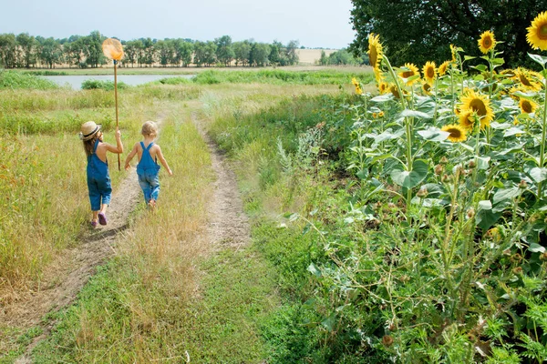 Dos Niños Con Una Red Mariposas Caminan Por Campo — Foto de Stock