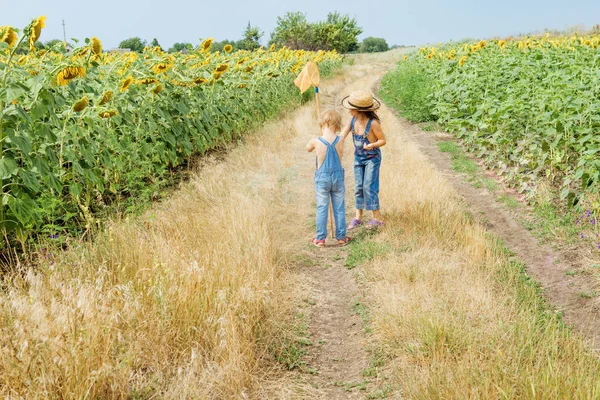 Two Children Butterfly Net Walk Countryside — Stock Photo, Image