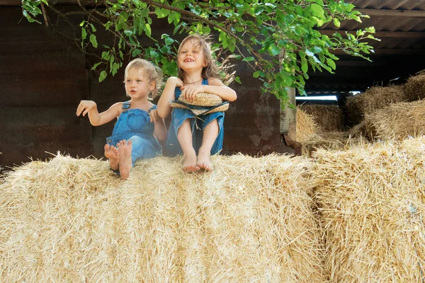 Dos Niños Sientan Pajar — Foto de Stock