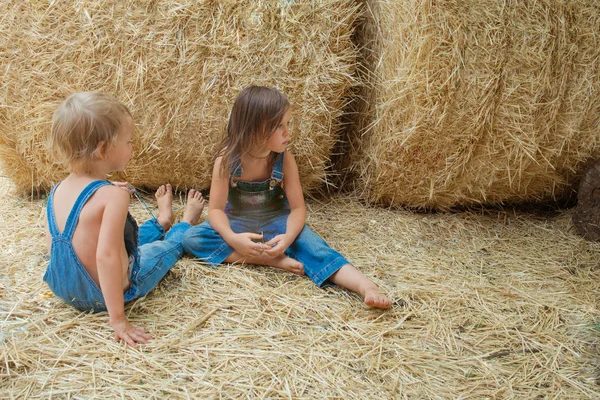 Két Gyermek Szénakazalban — Stock Fotó