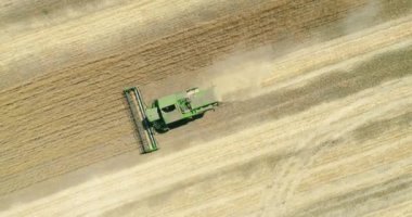 Buğday hasadı üzerinde çalışan modern biçerdöver. Hava görünümü.