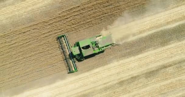 Cosechadora Moderna Que Trabaja Cultivo Trigo Vista Aérea — Vídeos de Stock