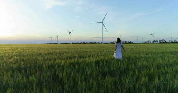 Beautiful Girl Walking Green Wheat Field Windmills Electric Power Production — Stock Video