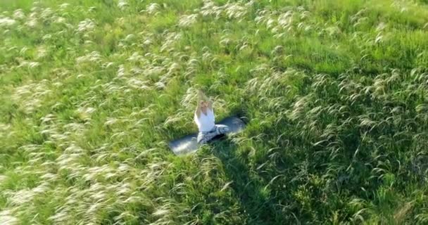 Fille Médite Assis Sur Une Belle Prairie Verte — Video