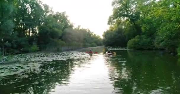 Два Каяка Плывут Вдоль Живописной Реки Вид Воздуха — стоковое видео