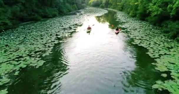 Dos Kayaks Navegan Largo Río Pintoresco Vista Aérea — Vídeos de Stock