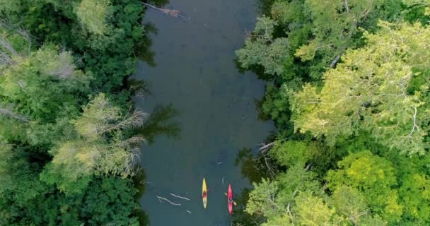 Dos Kayaks Navegan Largo Río Pintoresco Vista Aérea — Vídeos de Stock