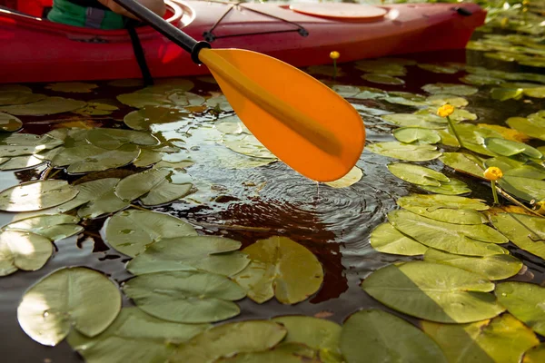 Peddel Van Kajak Water Met Waterlelies — Stockfoto