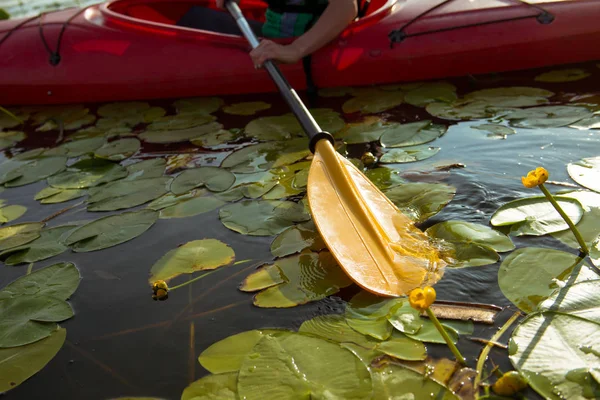 Peddel Van Kajak Water Met Waterlelies — Stockfoto