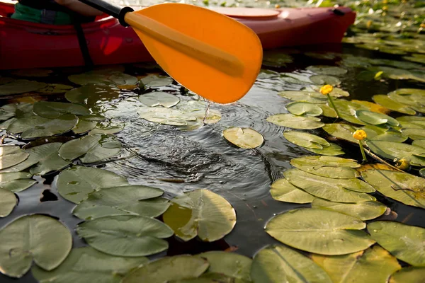 Peddel Van Kajak Water Met Waterlelies — Stockfoto