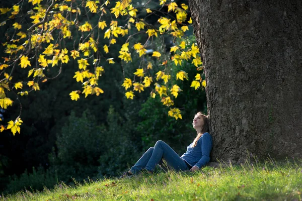 Ragazza Seduta Sull Erba Sotto Acero Autunno — Foto Stock