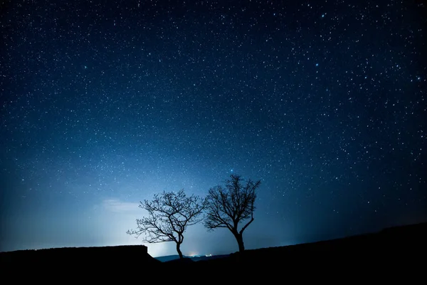 Zwei Bäume Den Bergen Unter Einem Sternenhimmel — Stockfoto
