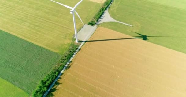 Szélmalom Mezőgazdasági Területeken Történő Villamosenergia Termeléshez Kilátás Felülről — Stock videók