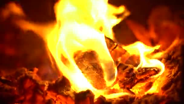 Brandende Vuur Met Hot Kolen Close — Stockvideo