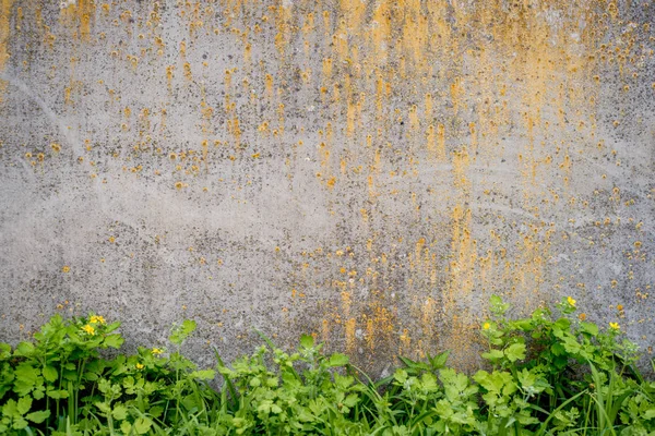 Çimile Renkli Eski Yıpranmış Duvar Gri Vintage Doku — Stok fotoğraf
